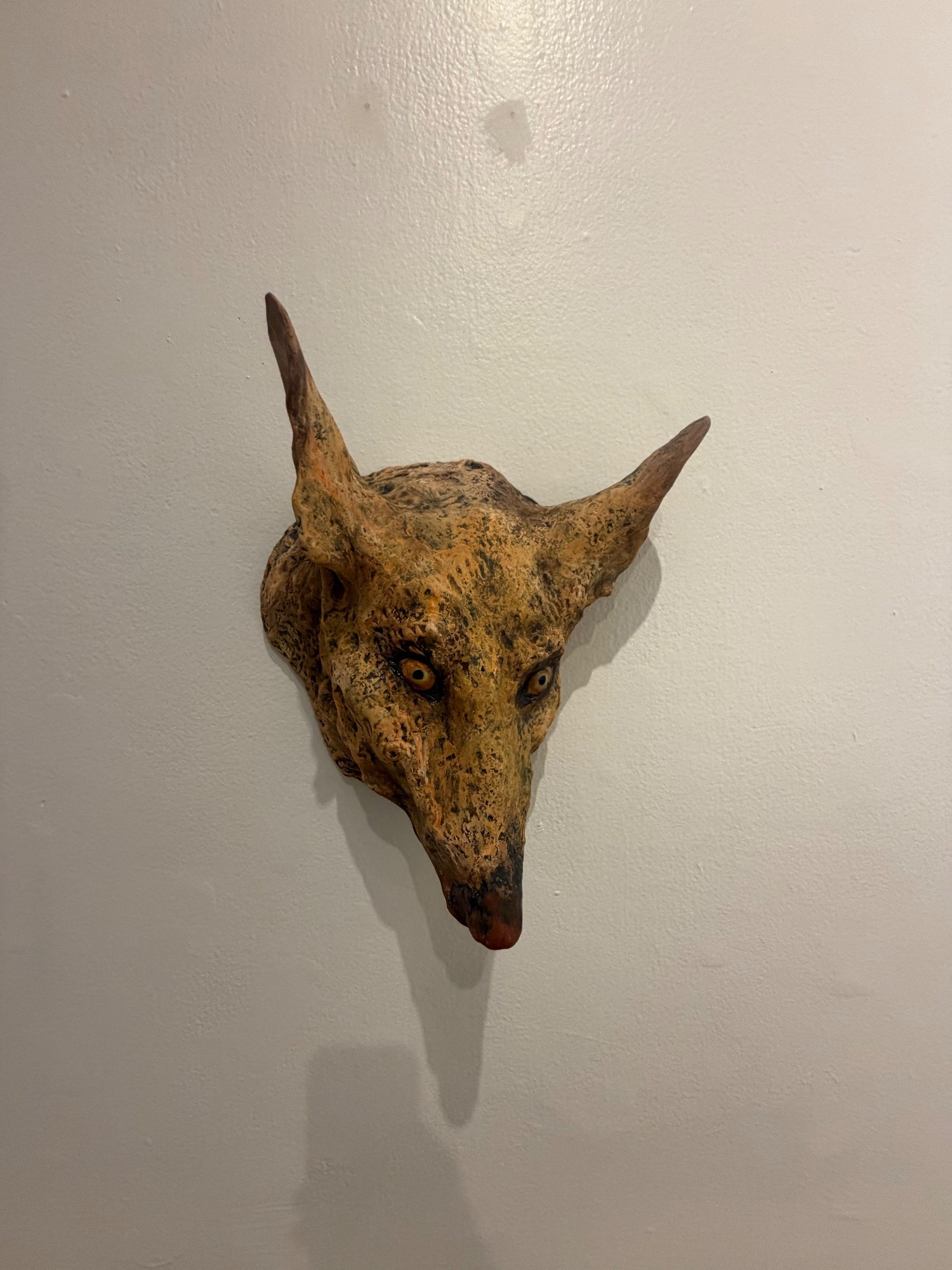Coyote