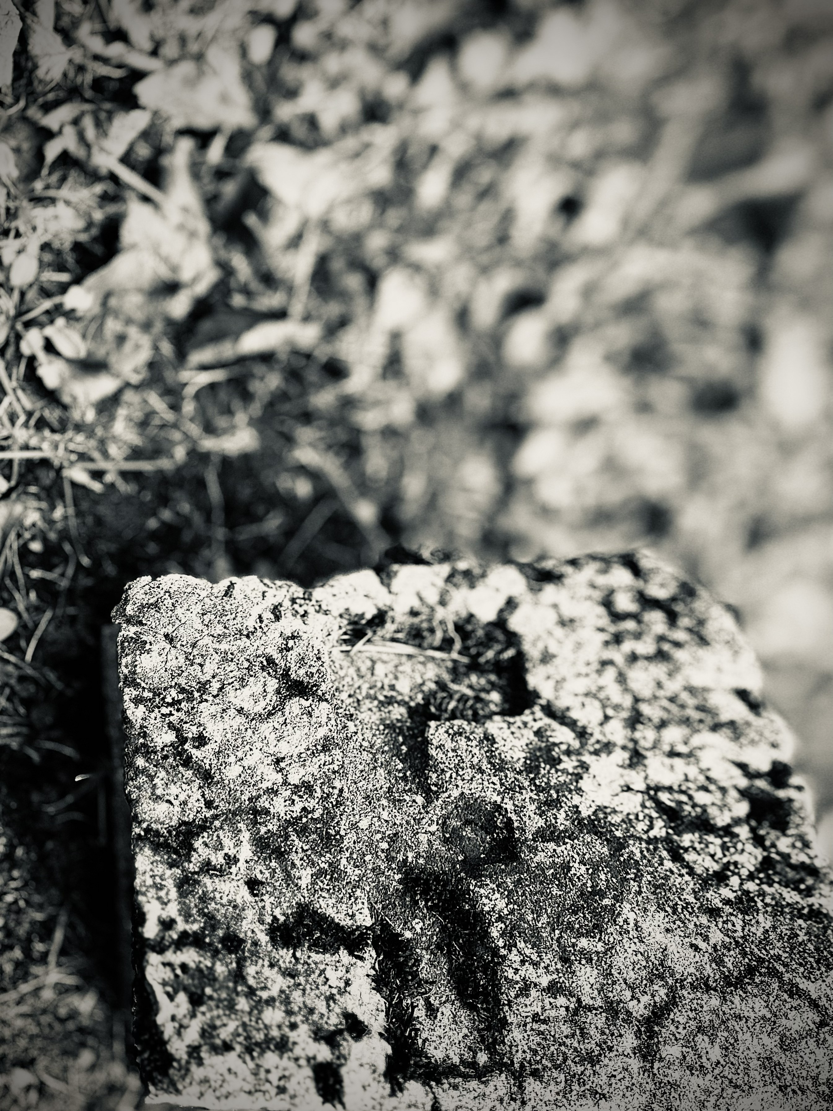 Rememberance-7