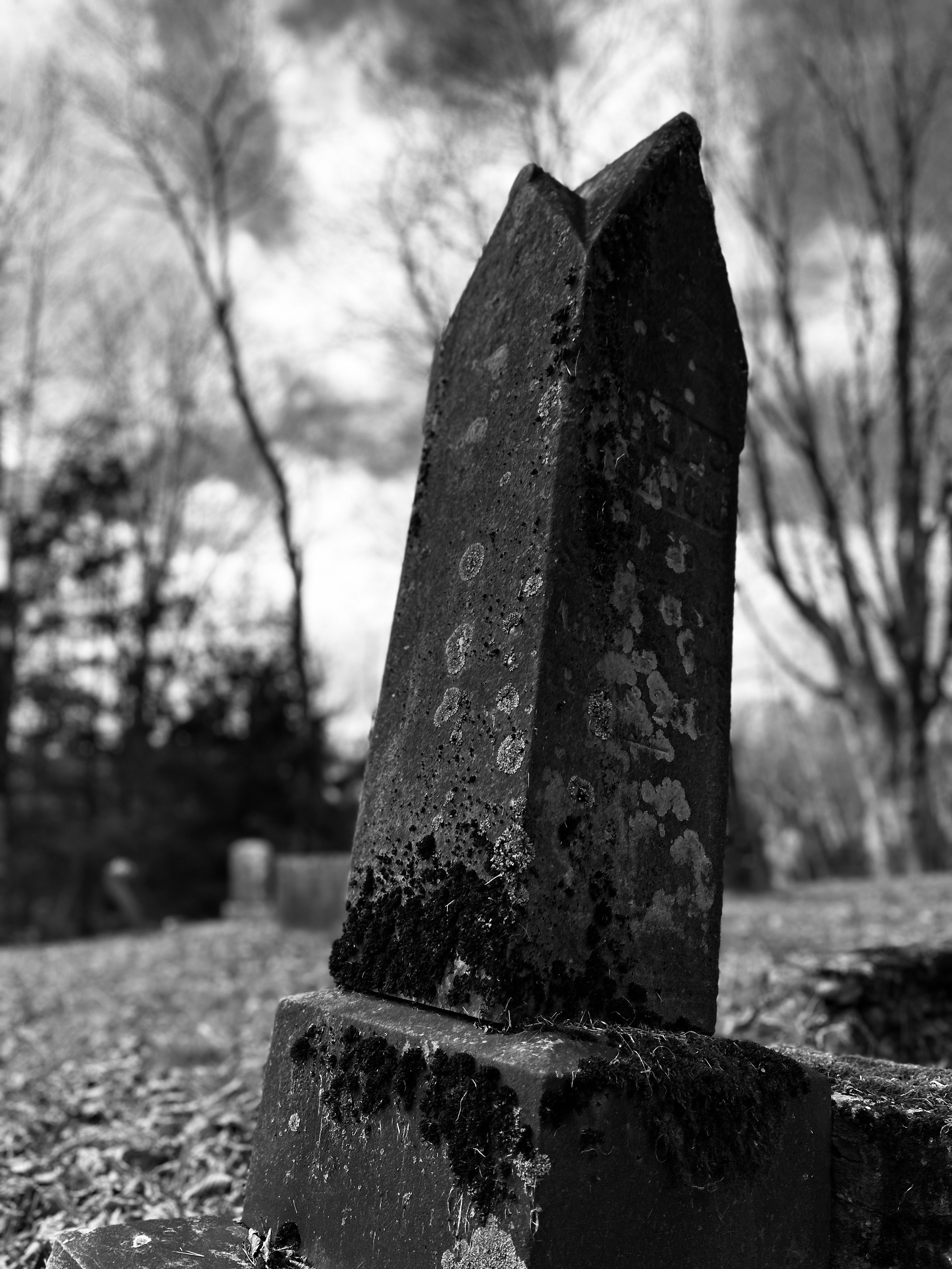 Rememberance-1