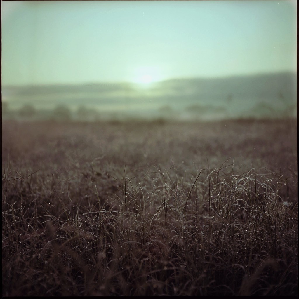 22921587215_65448a56c3_b